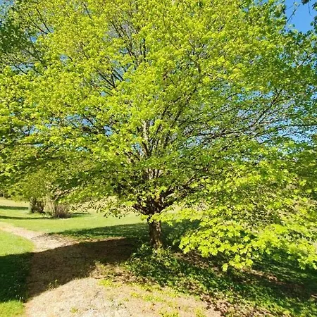 Tatil Evi Maison Charmeur Avec Jardin A Et Piscine Partagee *