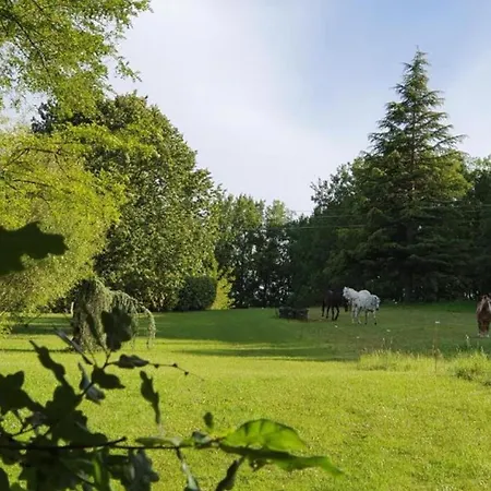 Maison De 2 Avec Piscine Partagee Jardin Amenage Et Wifi A Puy L'eveque Hébergement de vacances Puy-lʼÉvêque