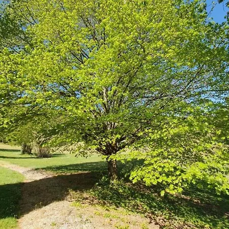 Hébergement de vacances Maison De 2 Avec Piscine Partagee Jardin Amenage Et Wifi A Puy L'eveque Puy-lʼÉvêque
