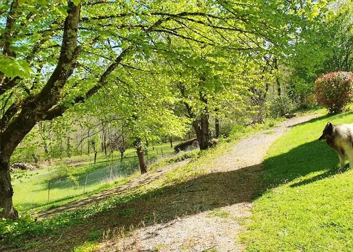Maison Charmeur Avec Jardin à Puy-l'évêque Et Piscine Partagée Puy-lʼÉvêque